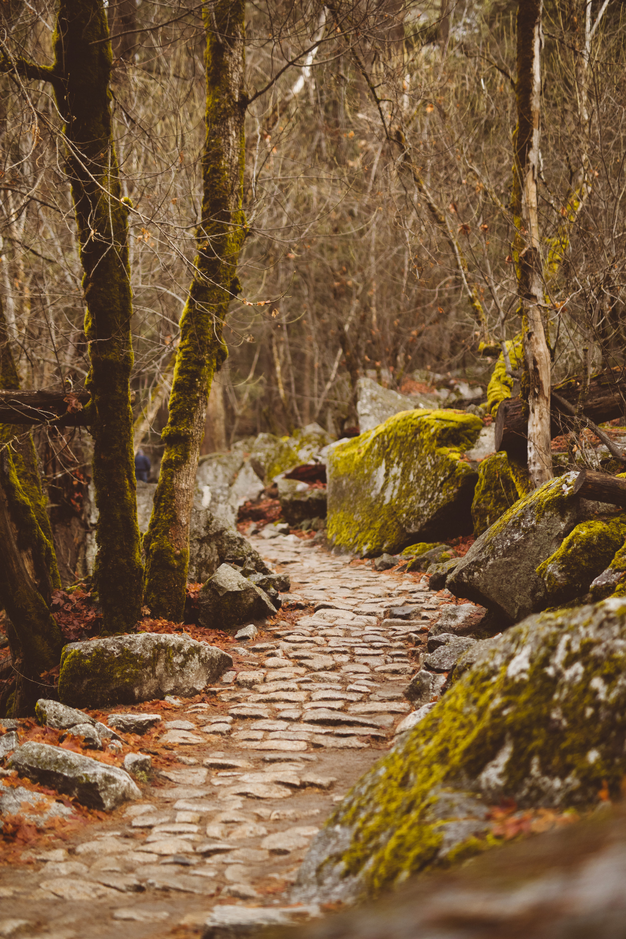 Exodus 3:13-15, The Great I Am