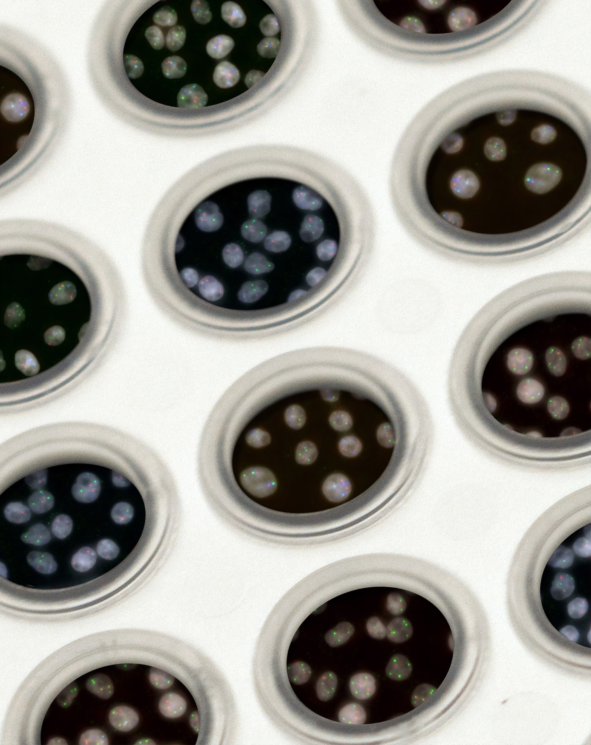 Luke 5:27-32: Jesus Calls Levi (Matthew)