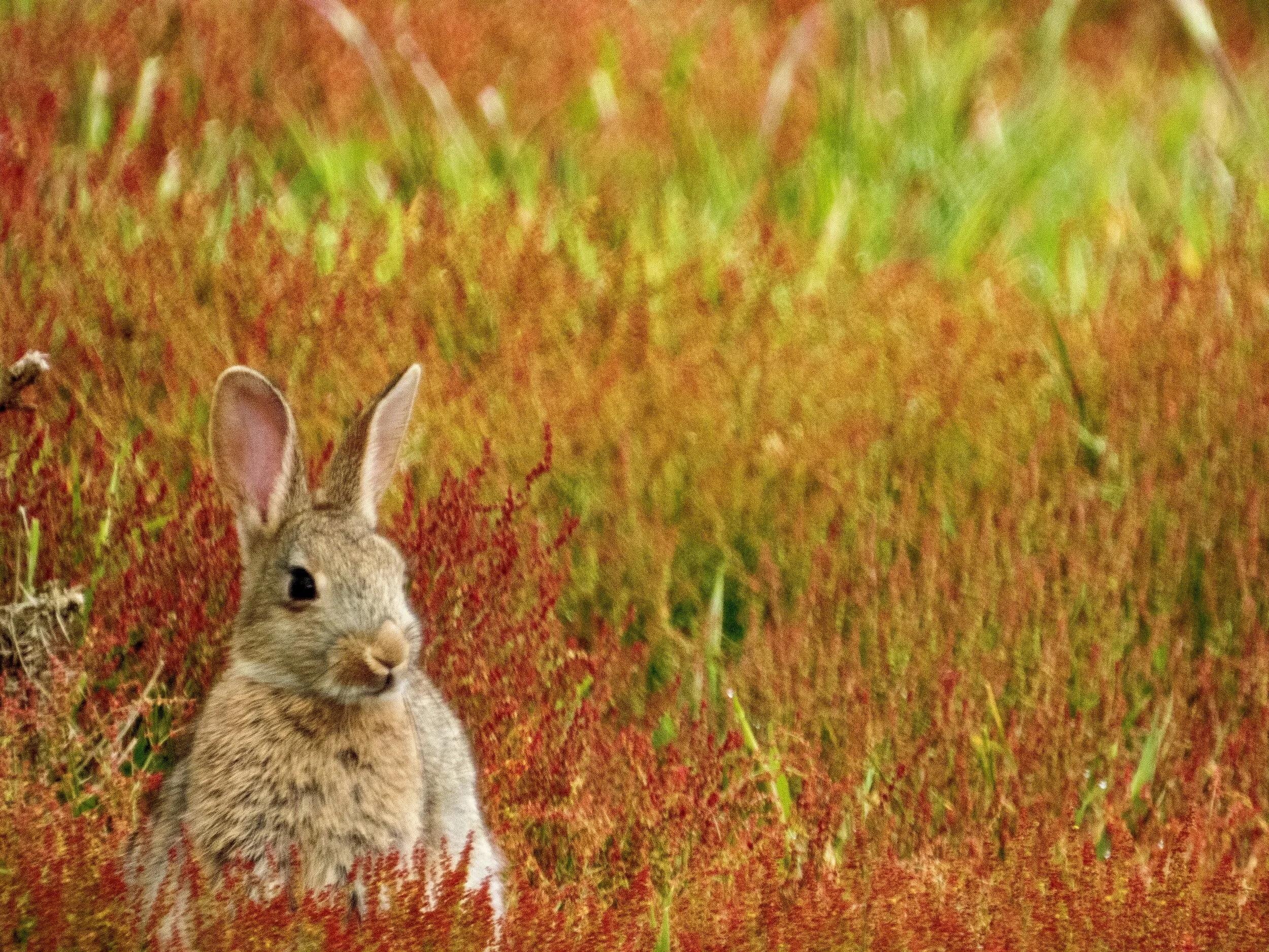 Luke 12:35-48, Be Alert