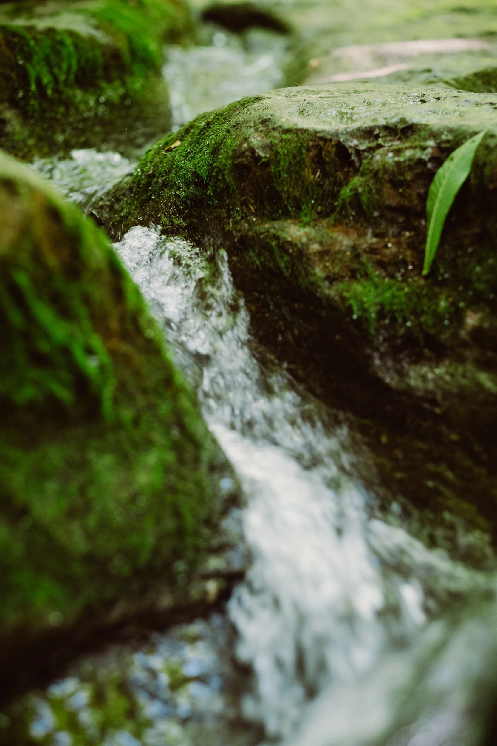 Exodus 17:1-7, Water from the Rock