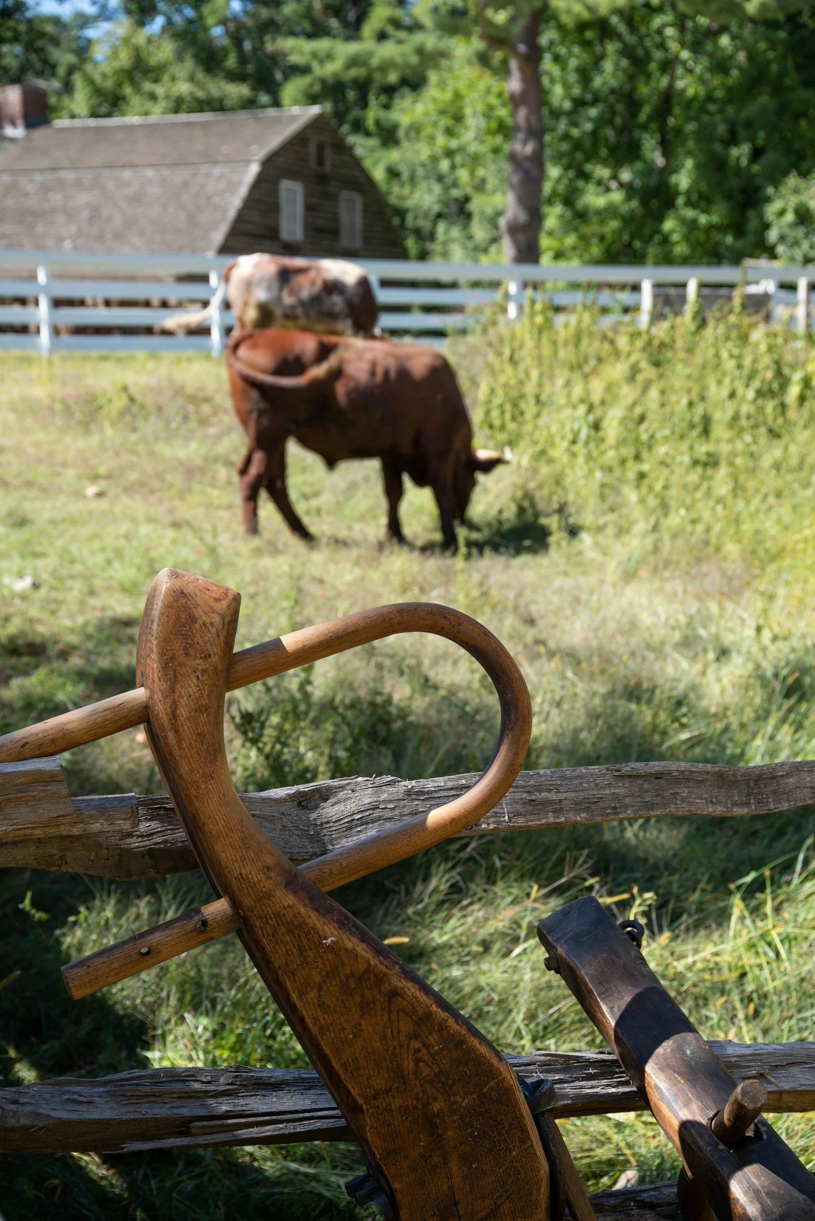 Acts 15:1-11, The Council at Jerusalem