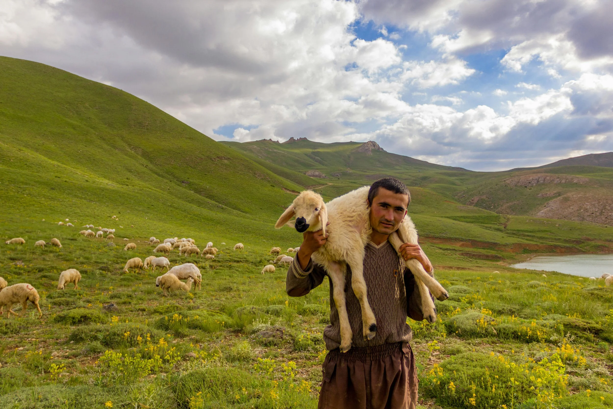 Luke 2:8-20, Shepherds Visit