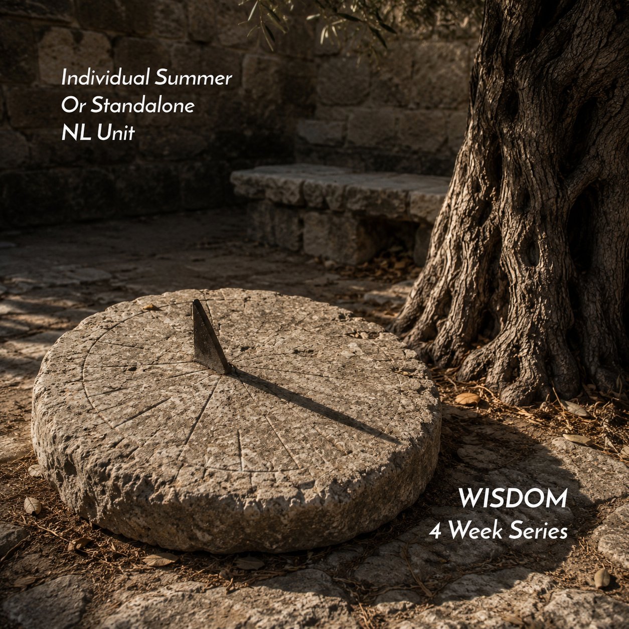 Individual NL Unit – Wisdom Literature (4 Weeks)