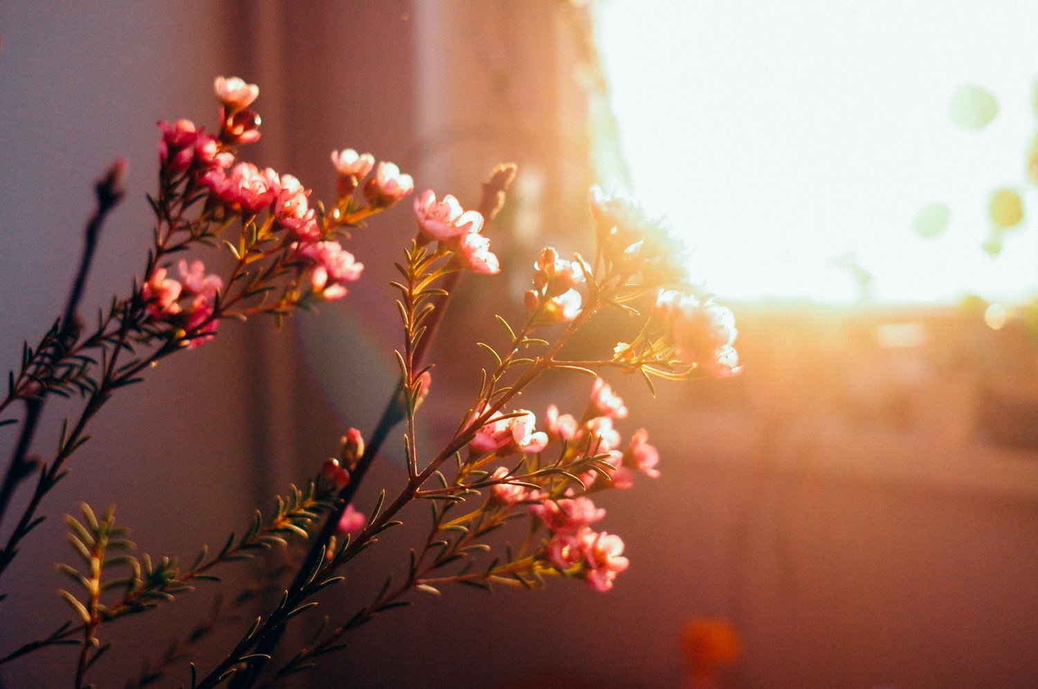 unsplash-image-uZ2vwsvSz2w.jpg