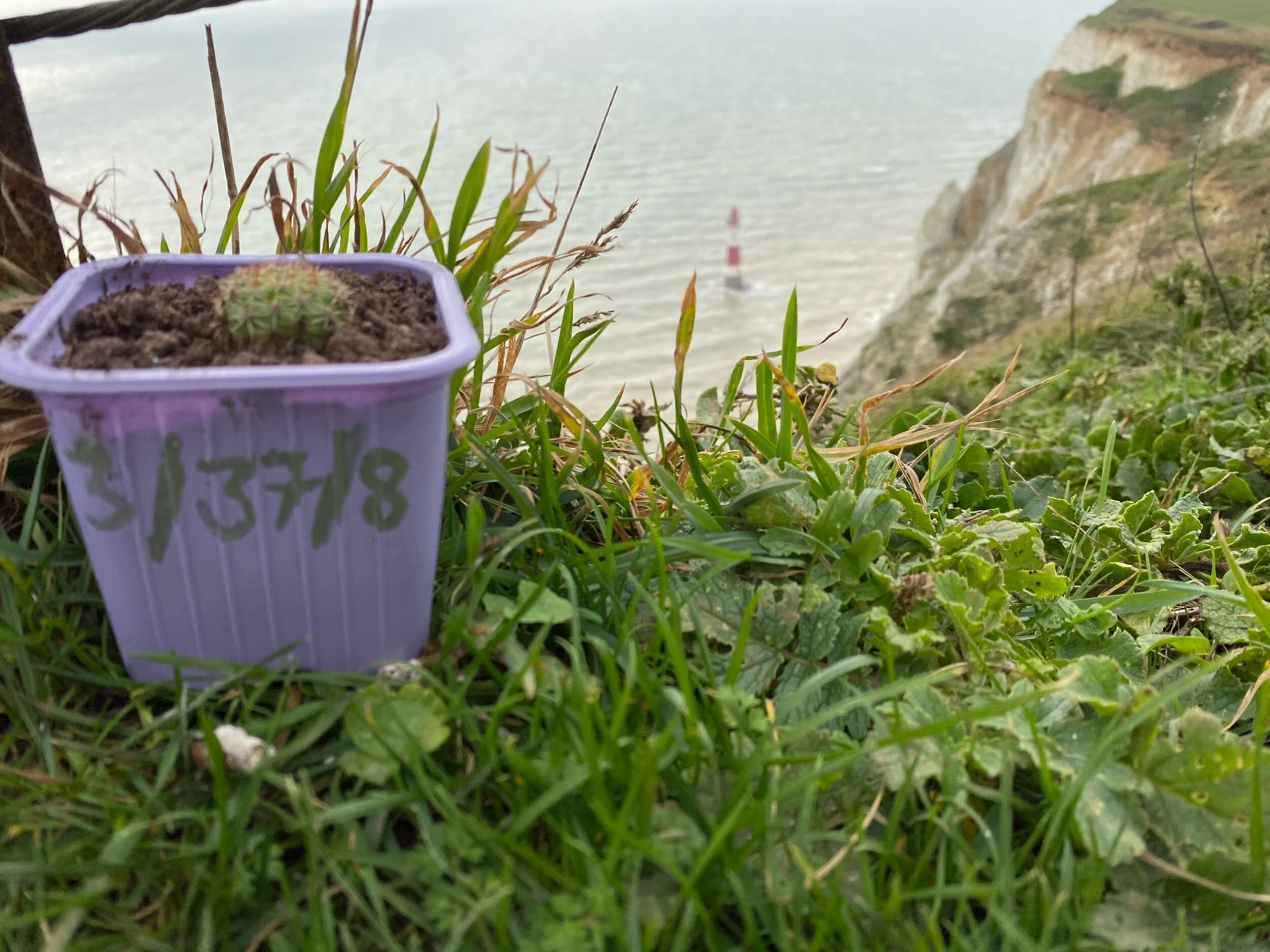 3/37/8 at Beachy Head