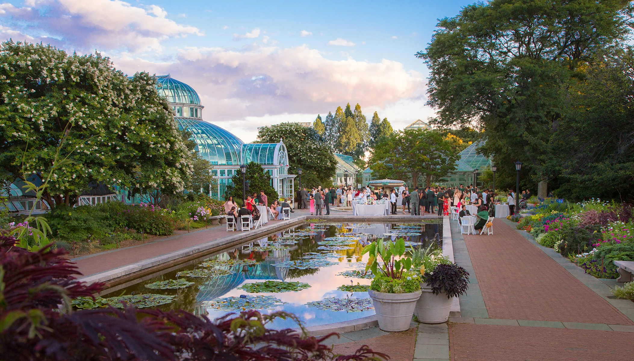 Lilypond_2017.jpg