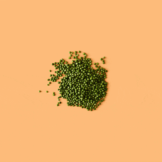 stop_motion_animation_peace_quote_jenna_gang00267.gif