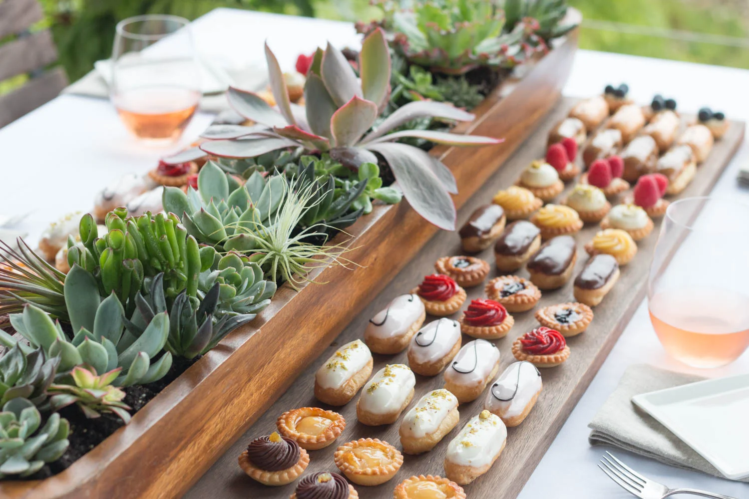 succulenttest-7.jpg