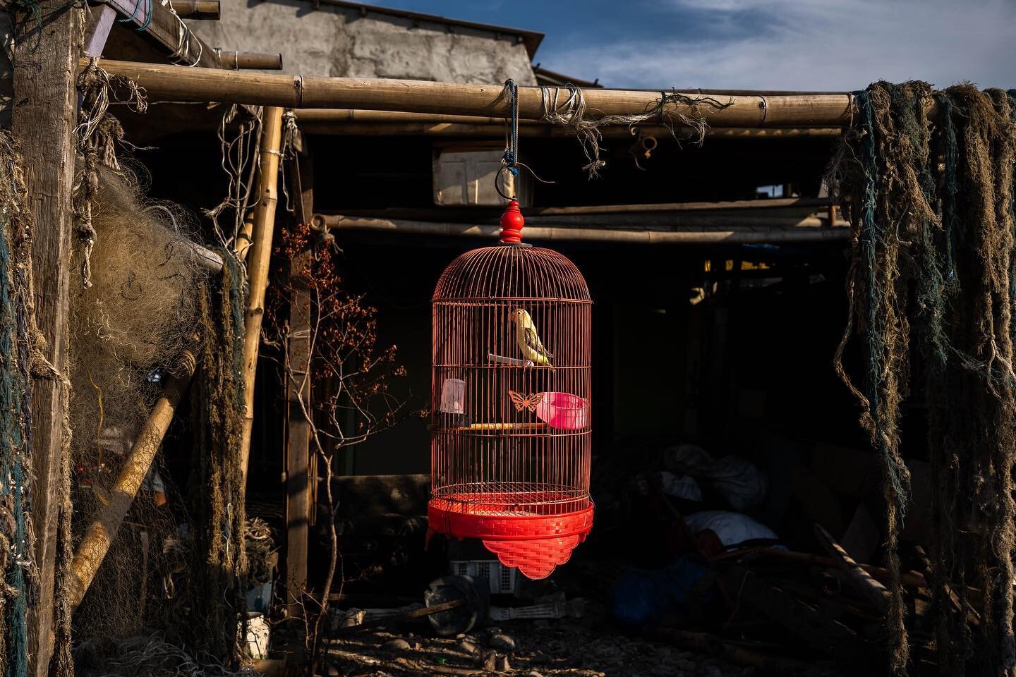 Found.

JJS.01.2023.Cilincing
Afternoon walk with 
@titorikardo 
@onealz 
@leo_jr18 
@frnklnglnn 
.
#seaside #indonesia #streetphotography #fisherman #goldenhour #erwindarmali #sonyalpha_id