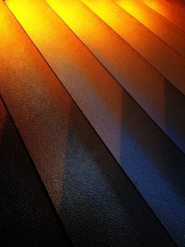 Close-up photo of carpeted stairs illuminated by warm sunlight from above