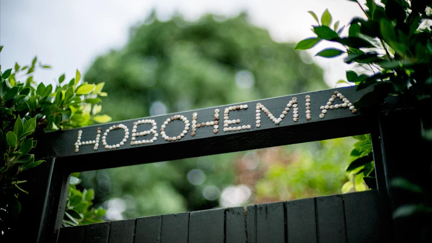 top of the fence with lettering "hobohemia" surrounded by greenery