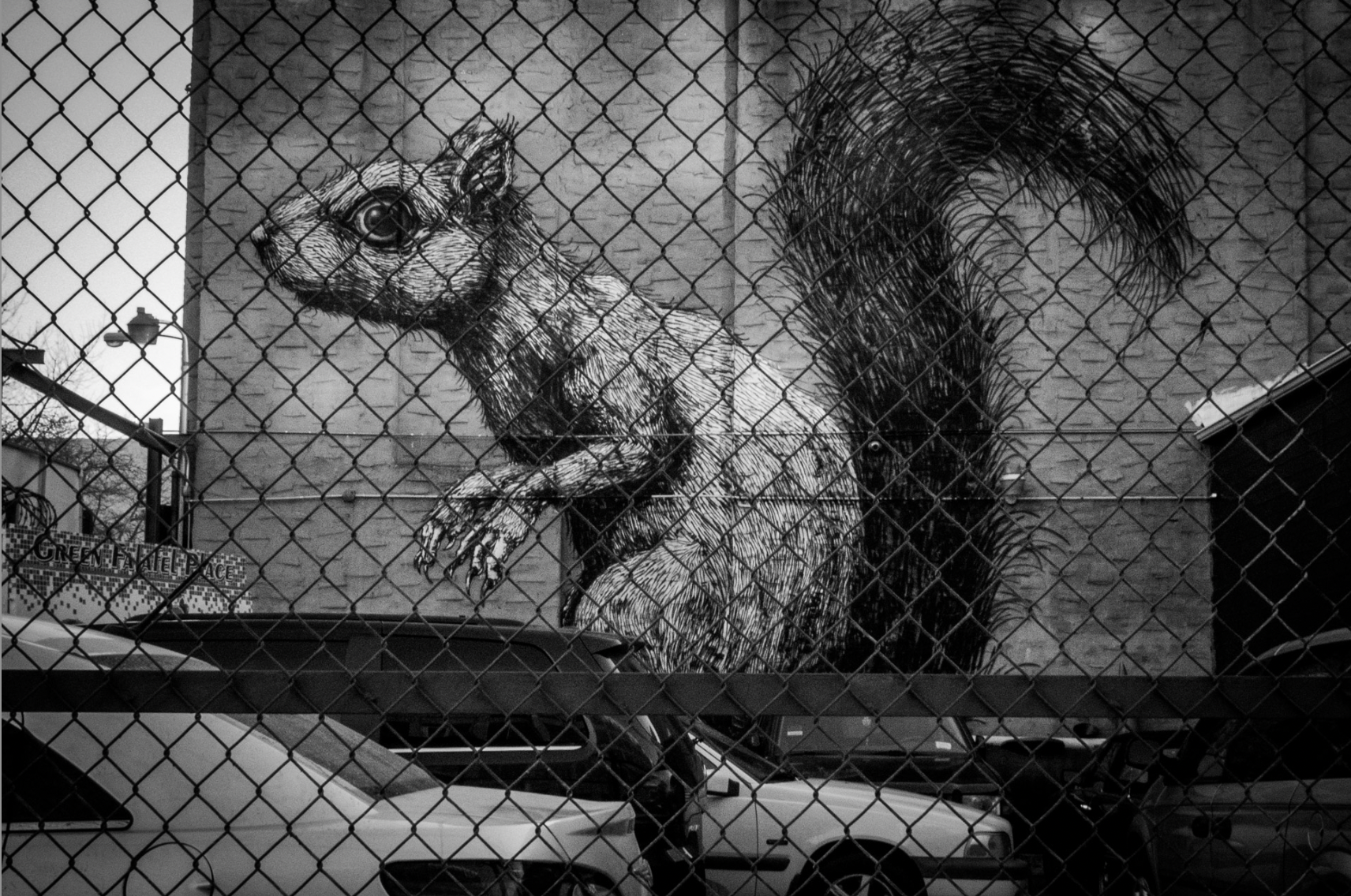 A large-scale street art mural of a squirrel photographed through a chain-link fence — a visual metaphor for divergent thinking, where scale and context are deliberately defied to create new meaning.