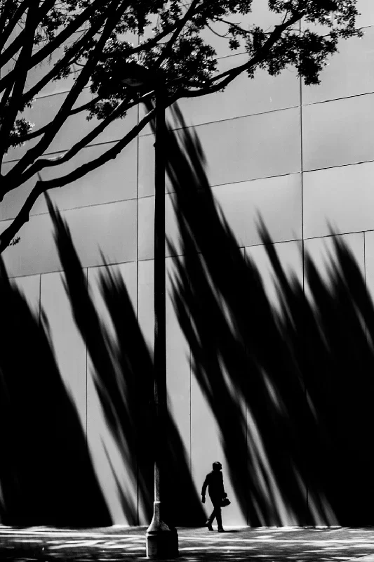 A person walking on a sidewalk next to a building with strong shadows cast by nearby trees and a street lamp, in black and white.