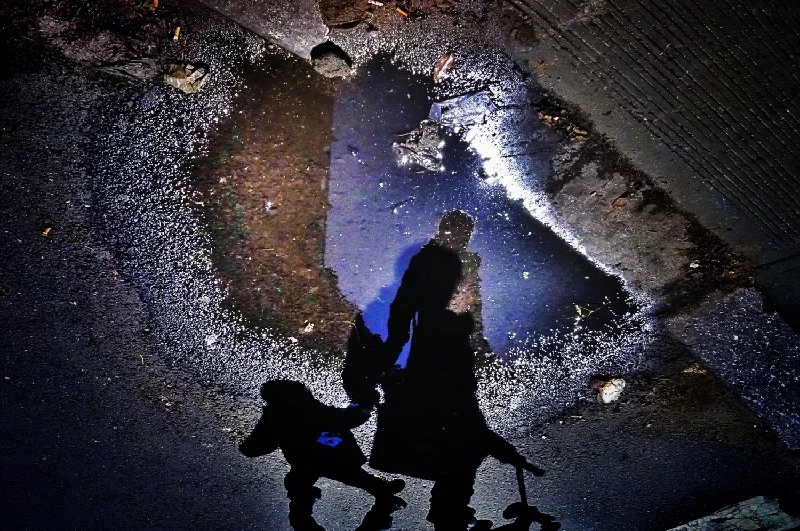 Reflection of a person and child holding hands, seen in a puddle of water on a dark street at night, with a bicycle lying on the ground.
