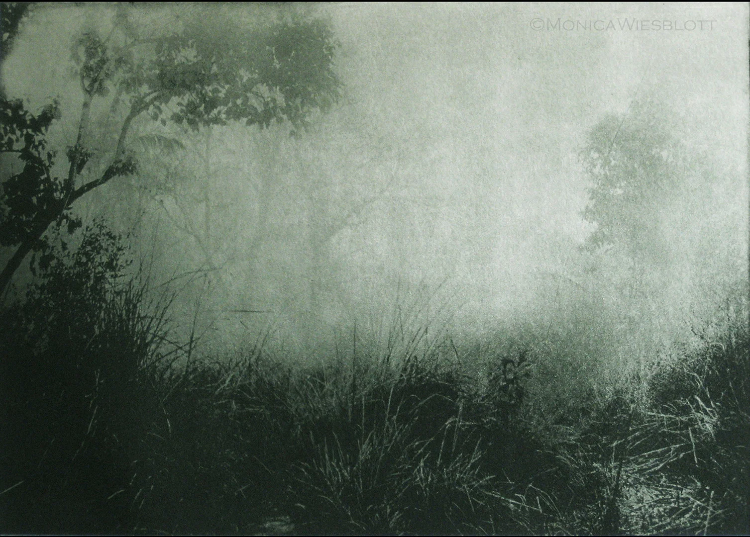She tried to follow, but he disappeared into the fog
