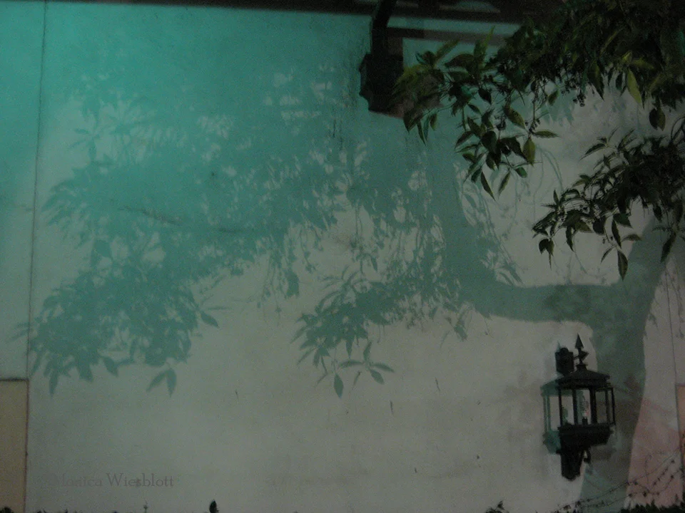 Turquoise