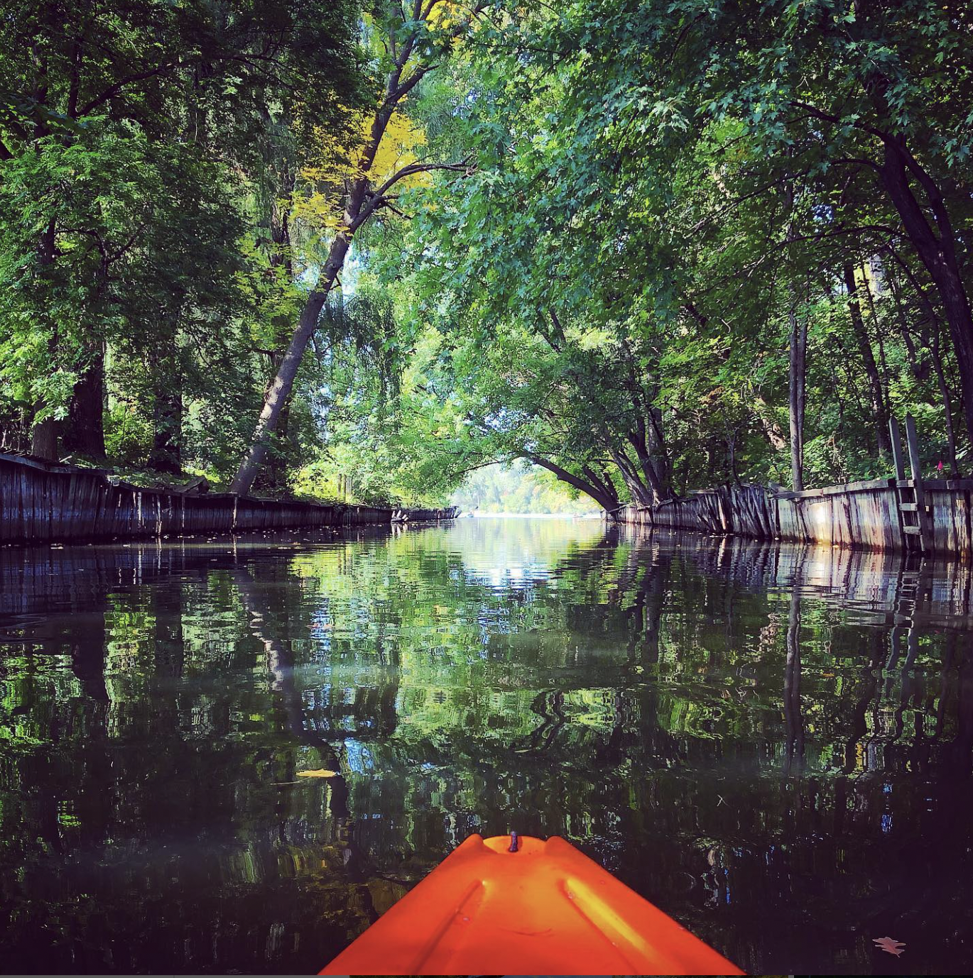 Screenshot 2024-01-29 at 1.13.44 PM.png