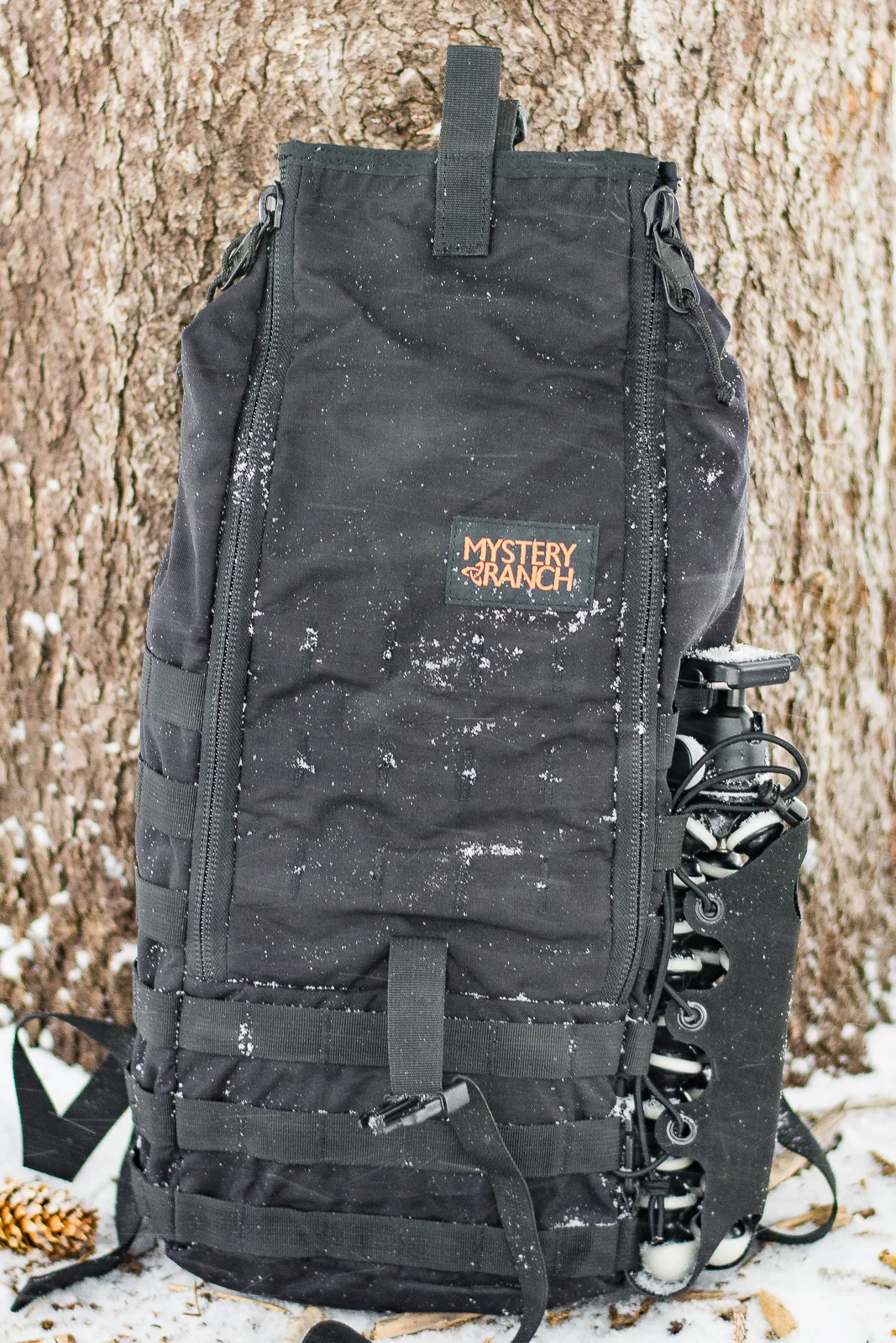 Spartan-7564.jpg
