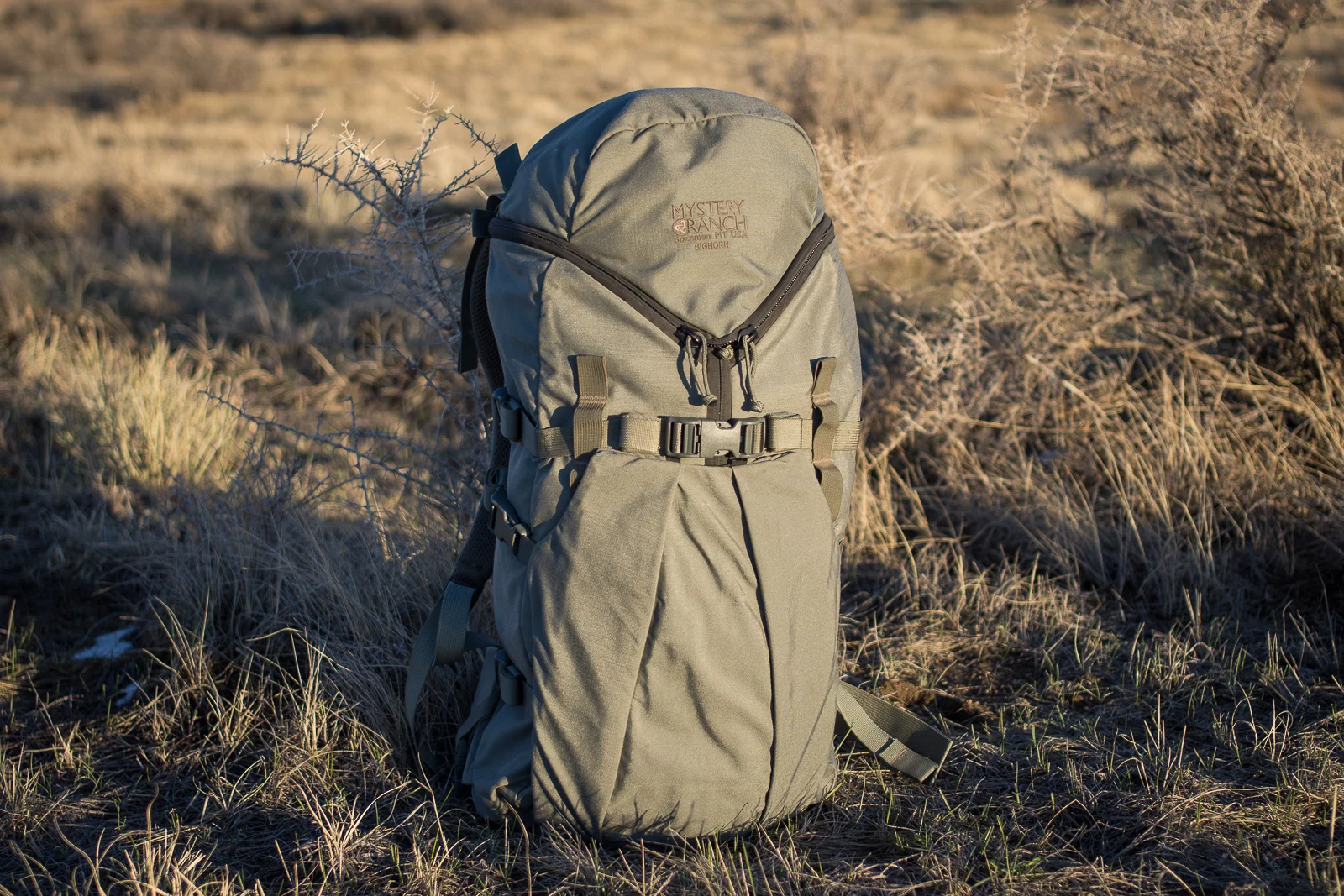 MR Bighorn-8549.jpg