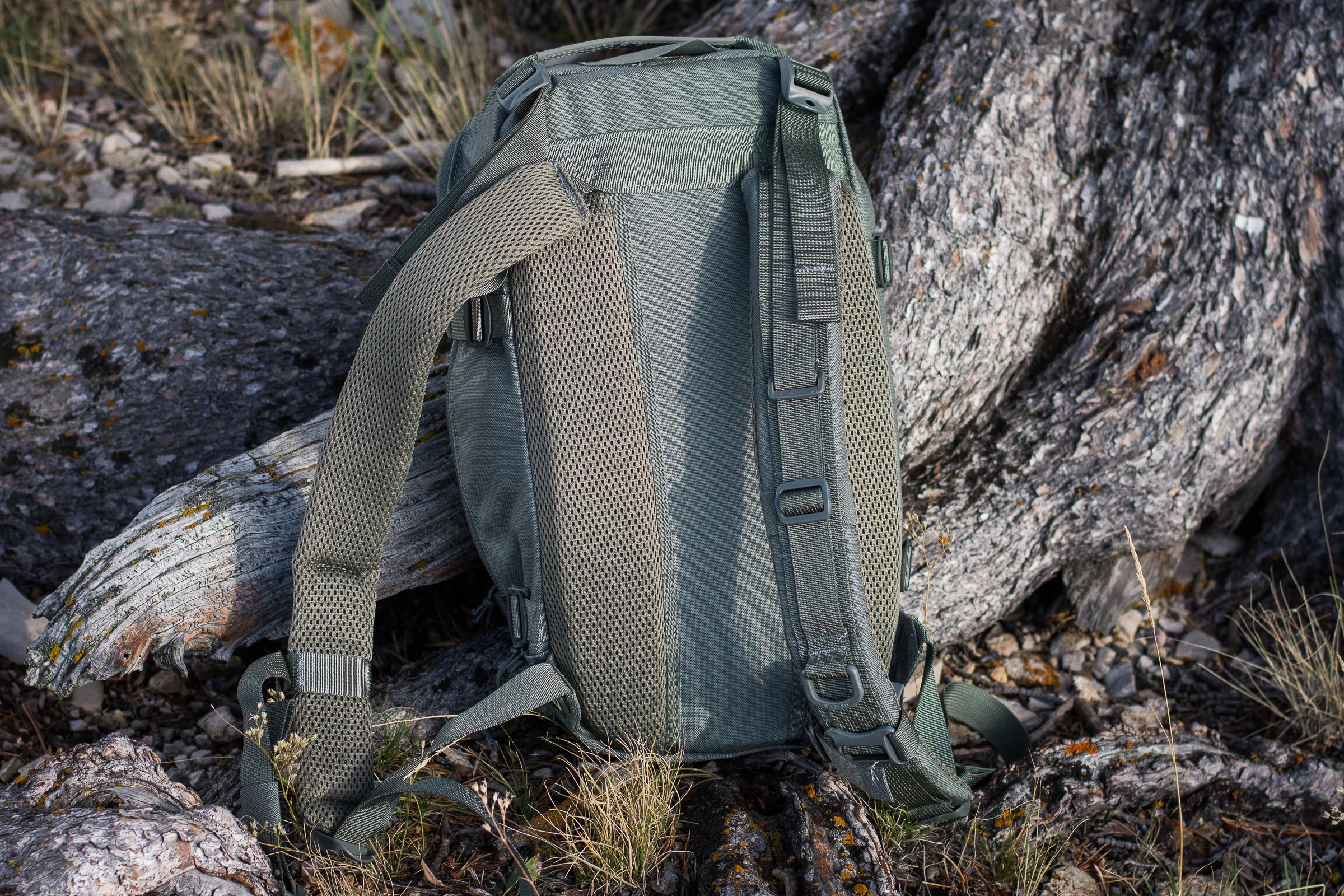 TAD Scout-0338.jpg