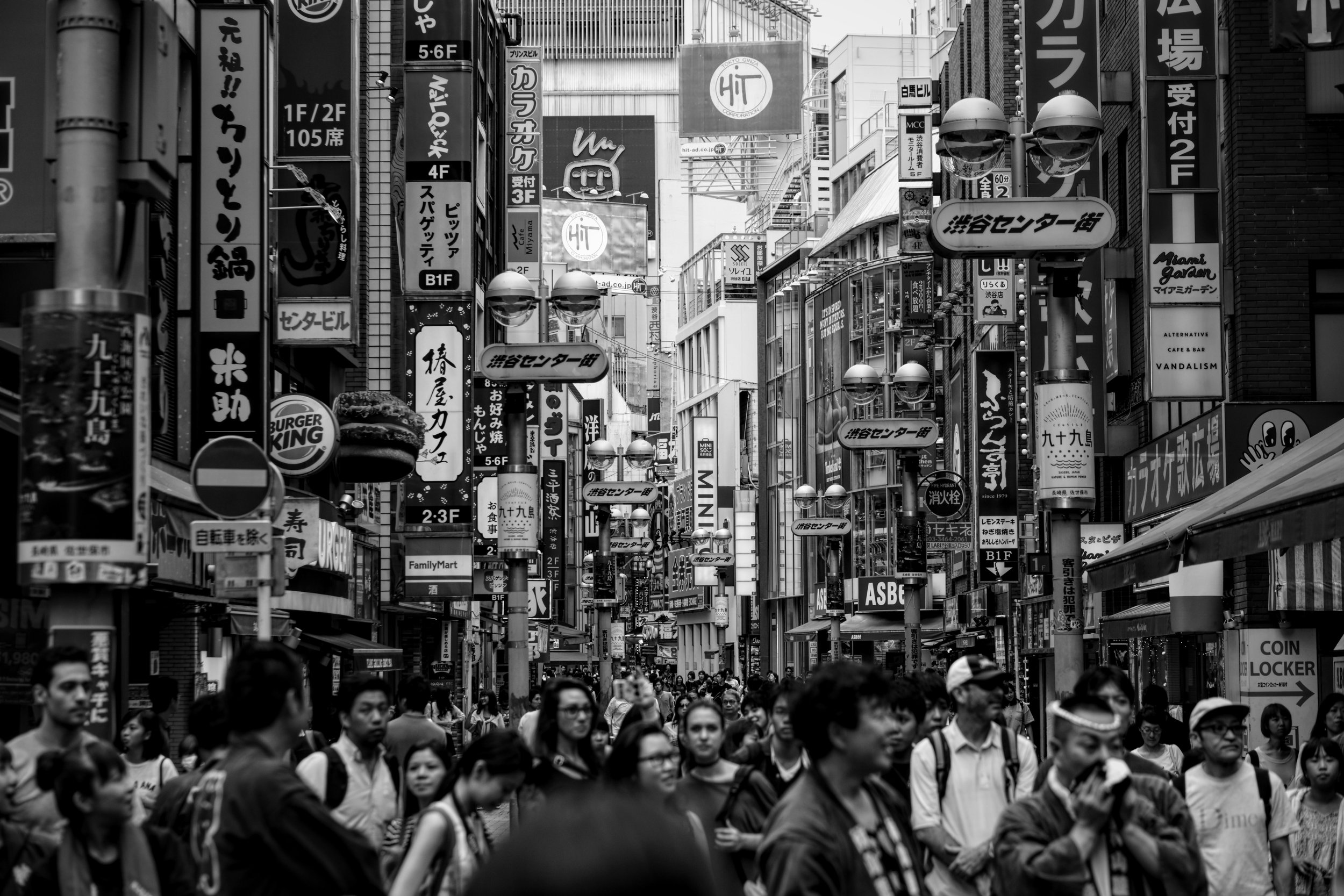 Matsuri