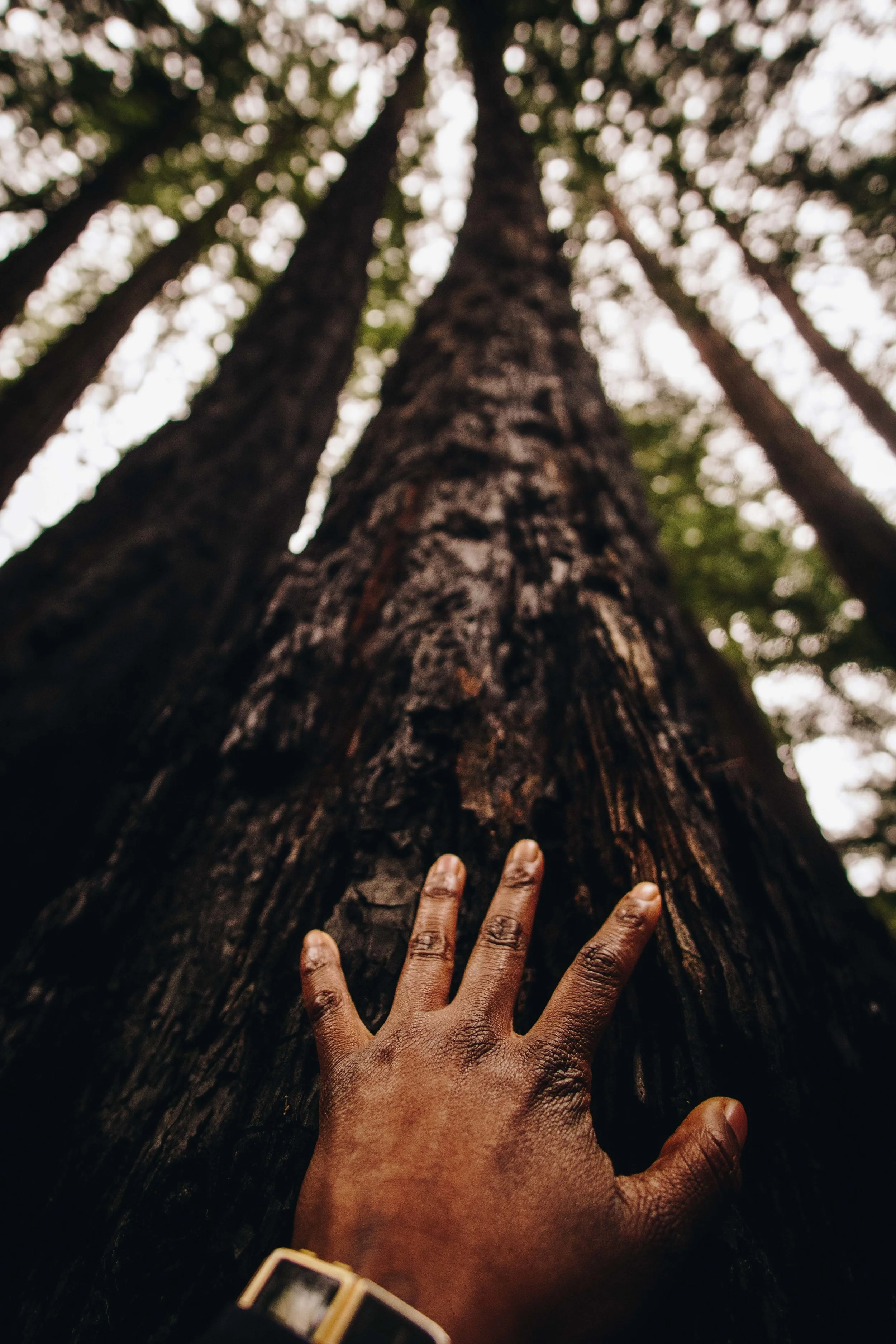 BIGSUR-3.jpg