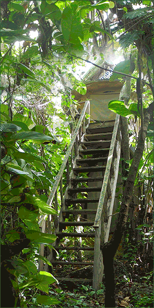 Great_huts_c1_300x600.gif