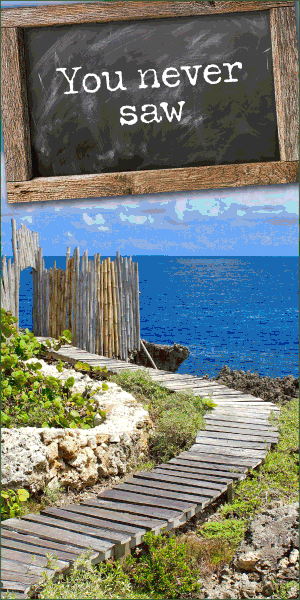 LostBoys_c3_300x600.gif