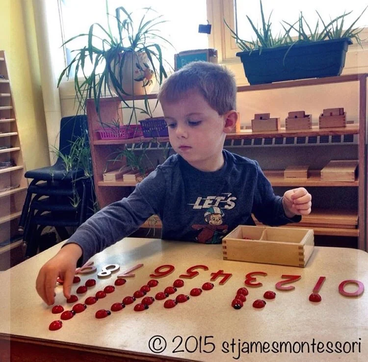 A student working with a Numerals and Counters Lesson from the Mathematics Area.