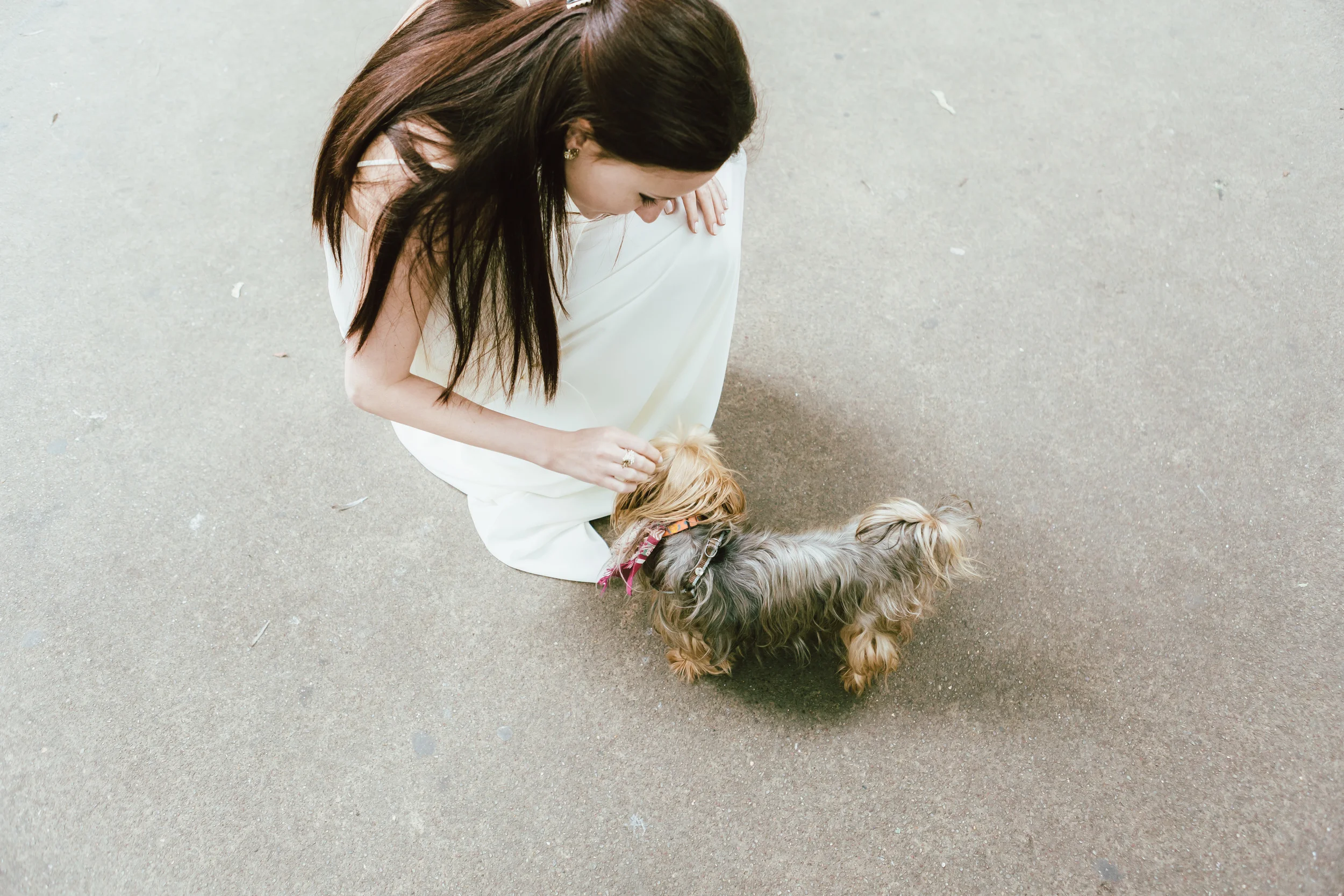 Photographer in Paris, Montmartre, Lovestory, puppy, iheartparisfr