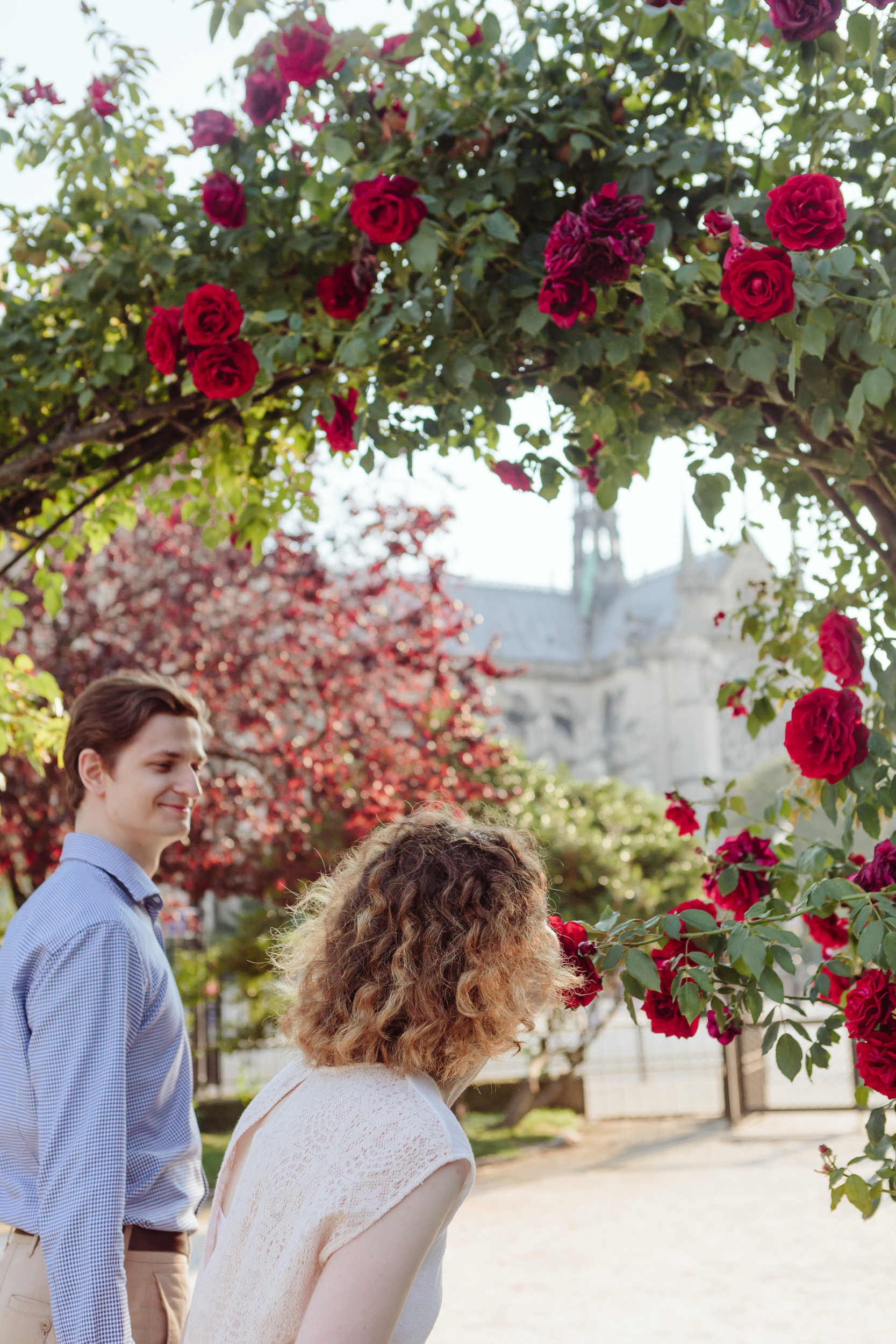 Couple in love by Notre Dame Cathedral smelling roses in a garden in Paris captured by Paris Photographer Federico Guendel IheartParisFr