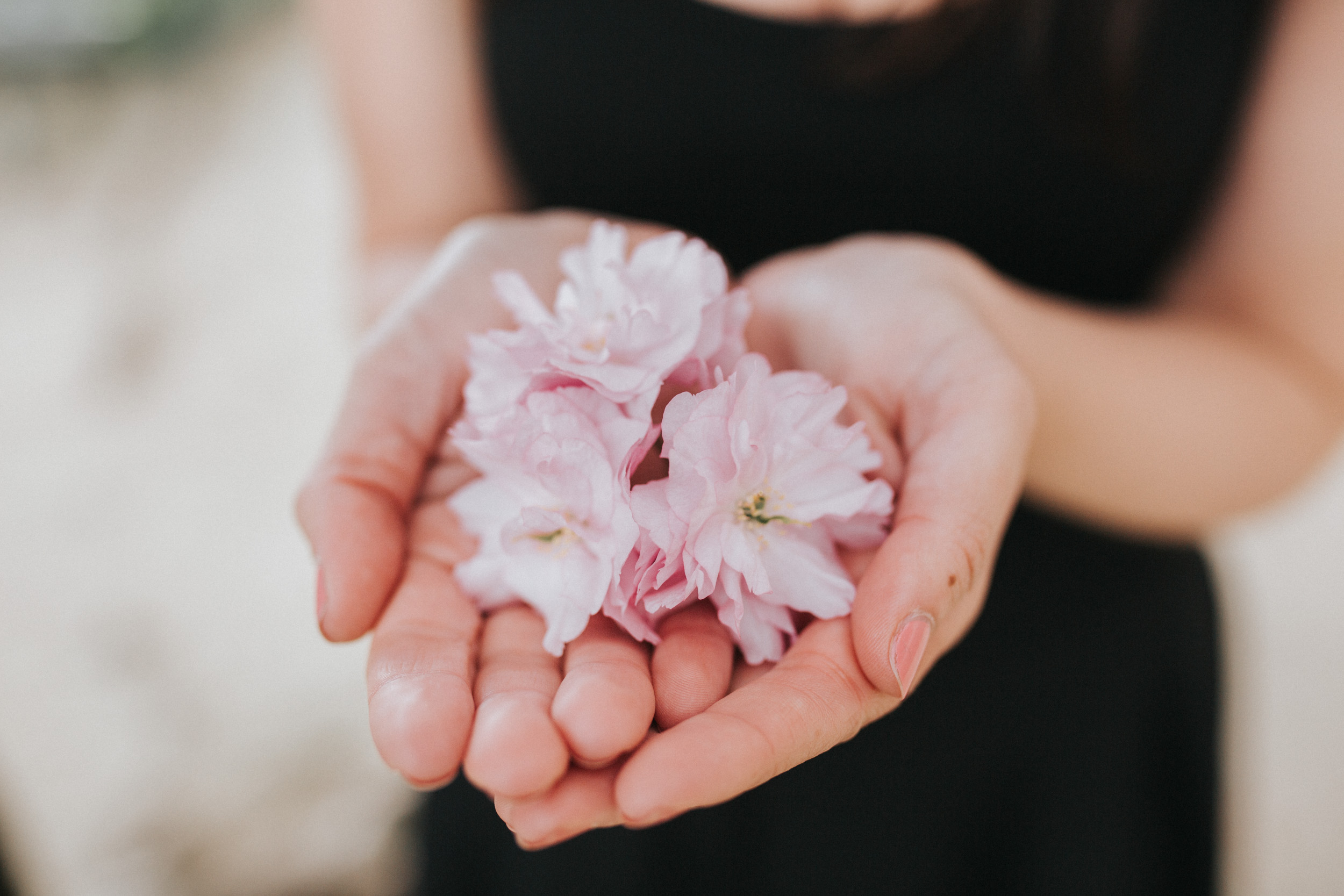 Rebecca Plotnick founder of Every Day Parisian blog holding spring cherry blossoms captured by Paris Photographer Federico and Anastasia Guendel IheartParisFr TheFlyingPoodle