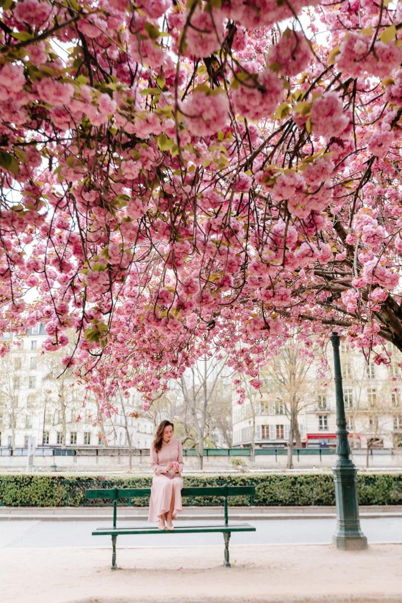 Spring Cherry Blossom Lifestyle Paris Photo Session by IheartParisfr
