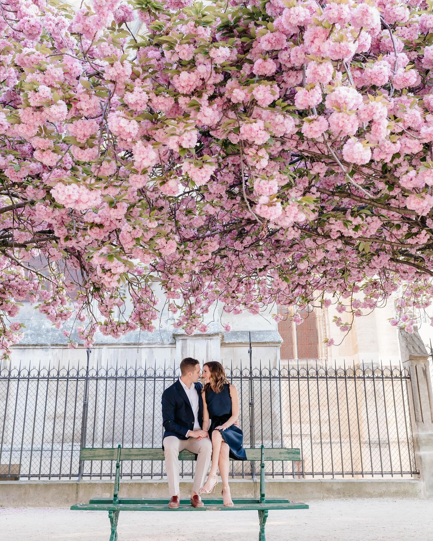 My favorite season is here 🌸🌷🌺 If you haven&rsquo;t booked your spring bloom session in Paris for April, the time is now 🌞 
.
.
#iheartparisfr #parisphotographer #photographerinparis #parisportraits #springinparis