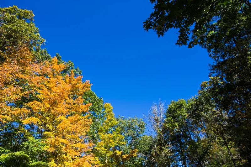 _MG_3820.jpg