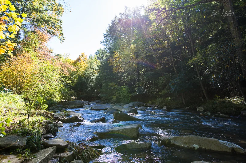 _MG_3827.jpg