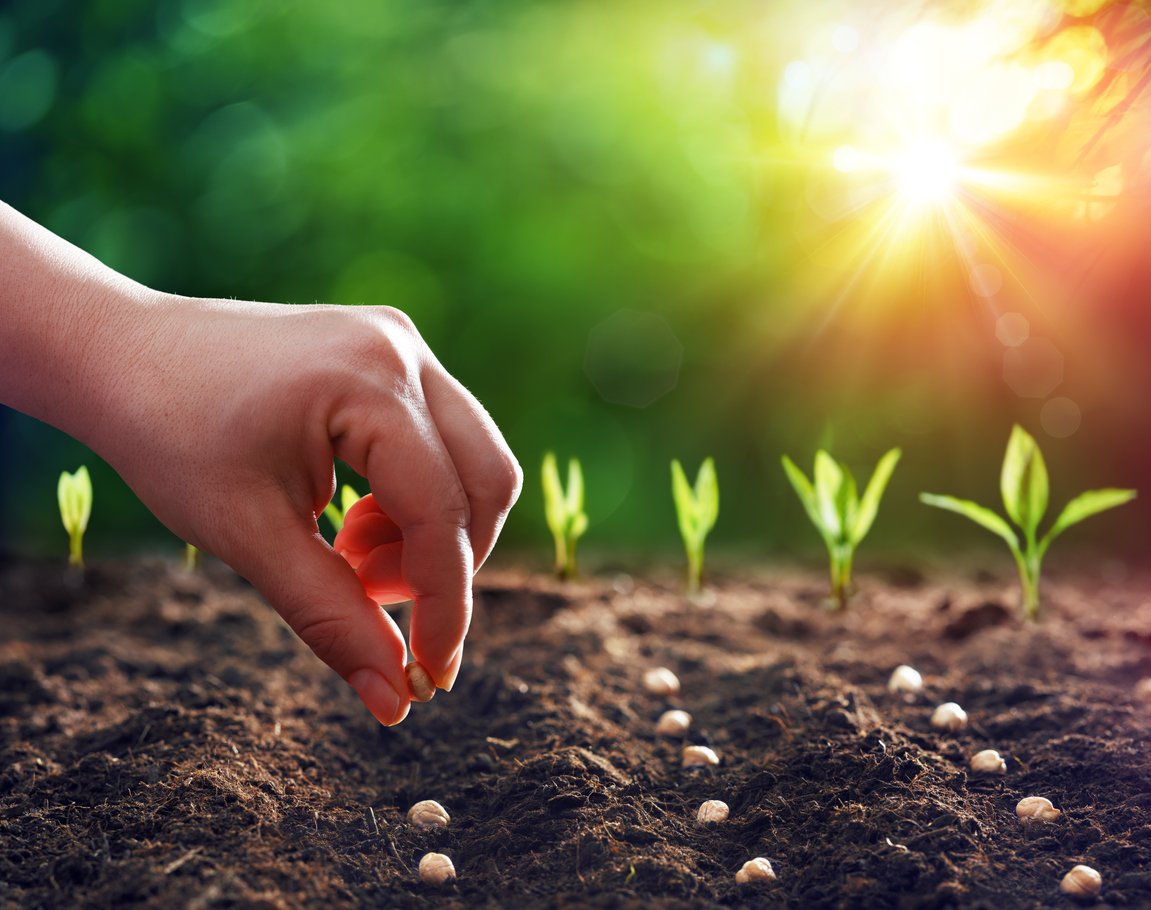 The Power in a Seed  Bob Yandian Ministries