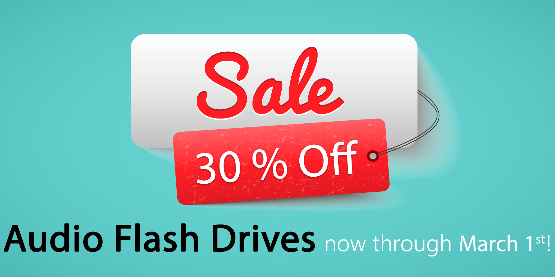Flash_Drive_Sale_2026_Feb_Mar.png