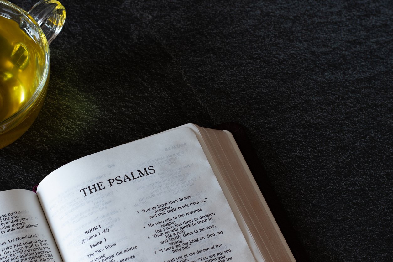 The Carnal Christian, Lessons from David and the City of Keilah