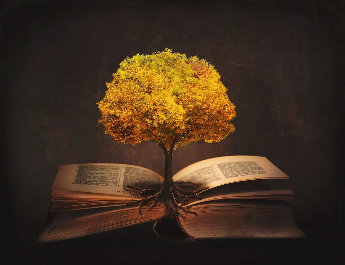 The Word of God Brings Growth