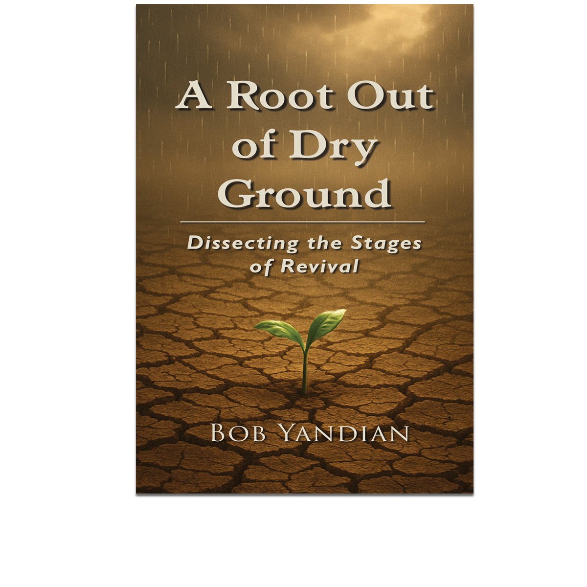 A Root Out of Dry Ground (Paperback)