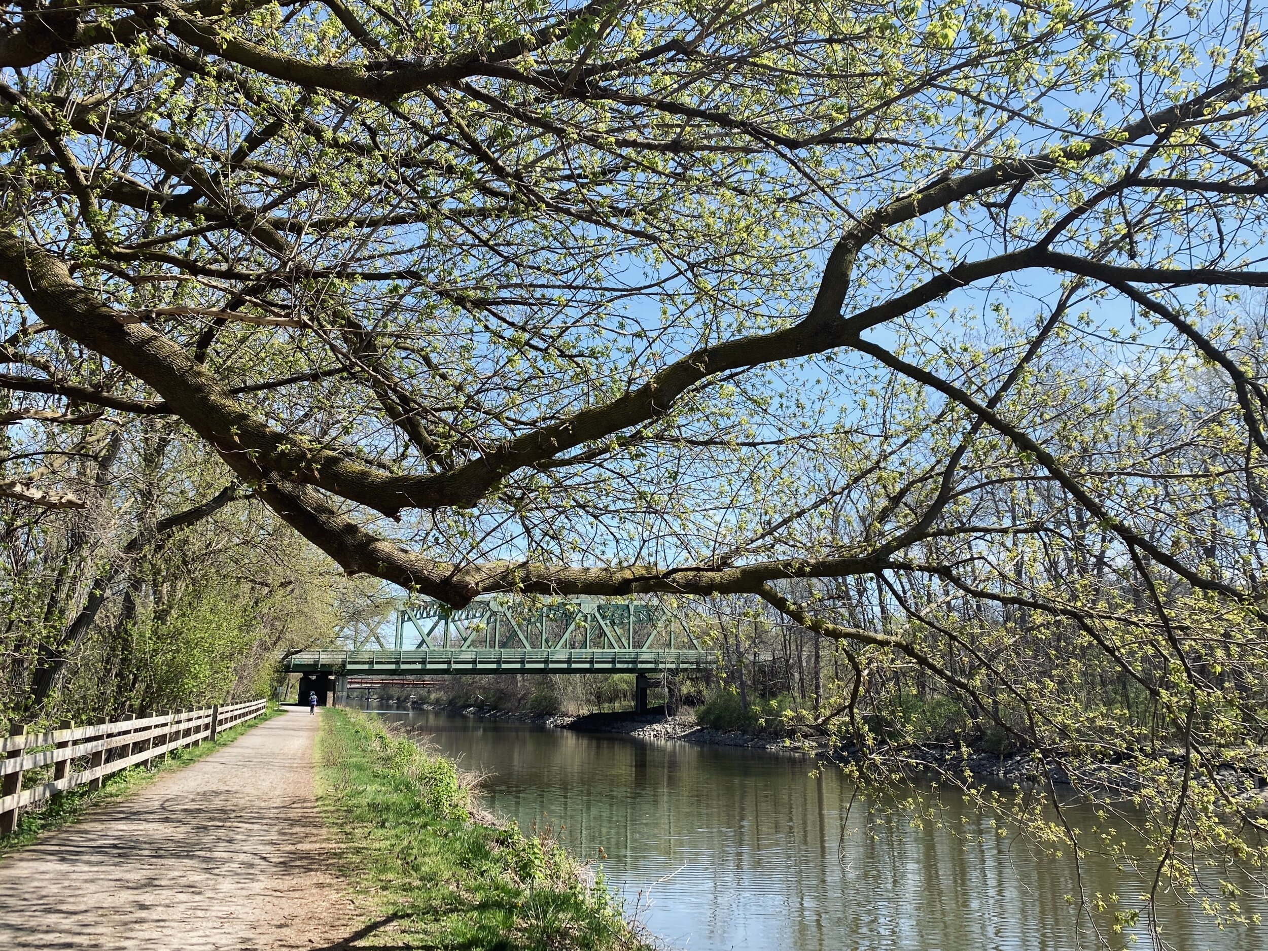 Towpath Ribbon Cut, Virtually, Opening 3rd Stage Of Trail