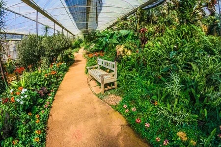 botanical-garden-green-bench.jpeg