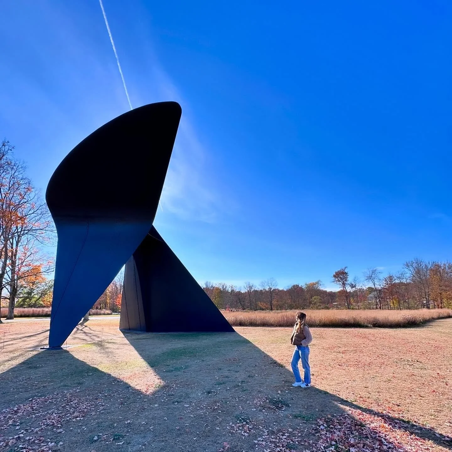 Art + nature can lift a heavy heart.