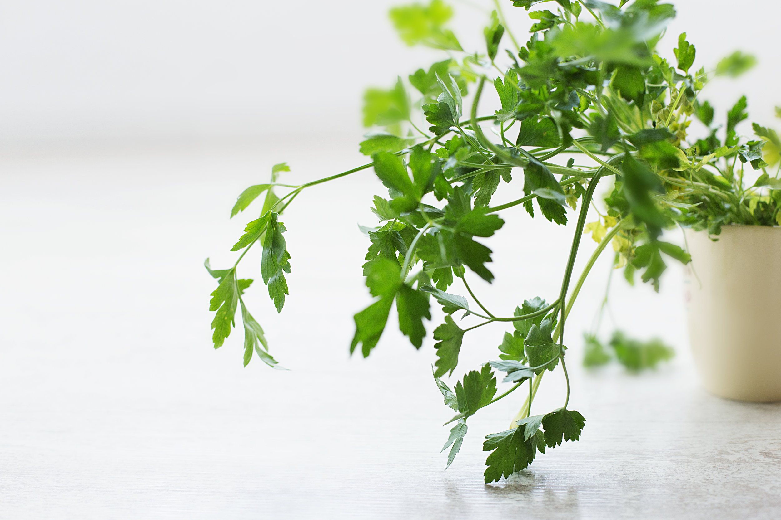 Herb Drizzle.jpg