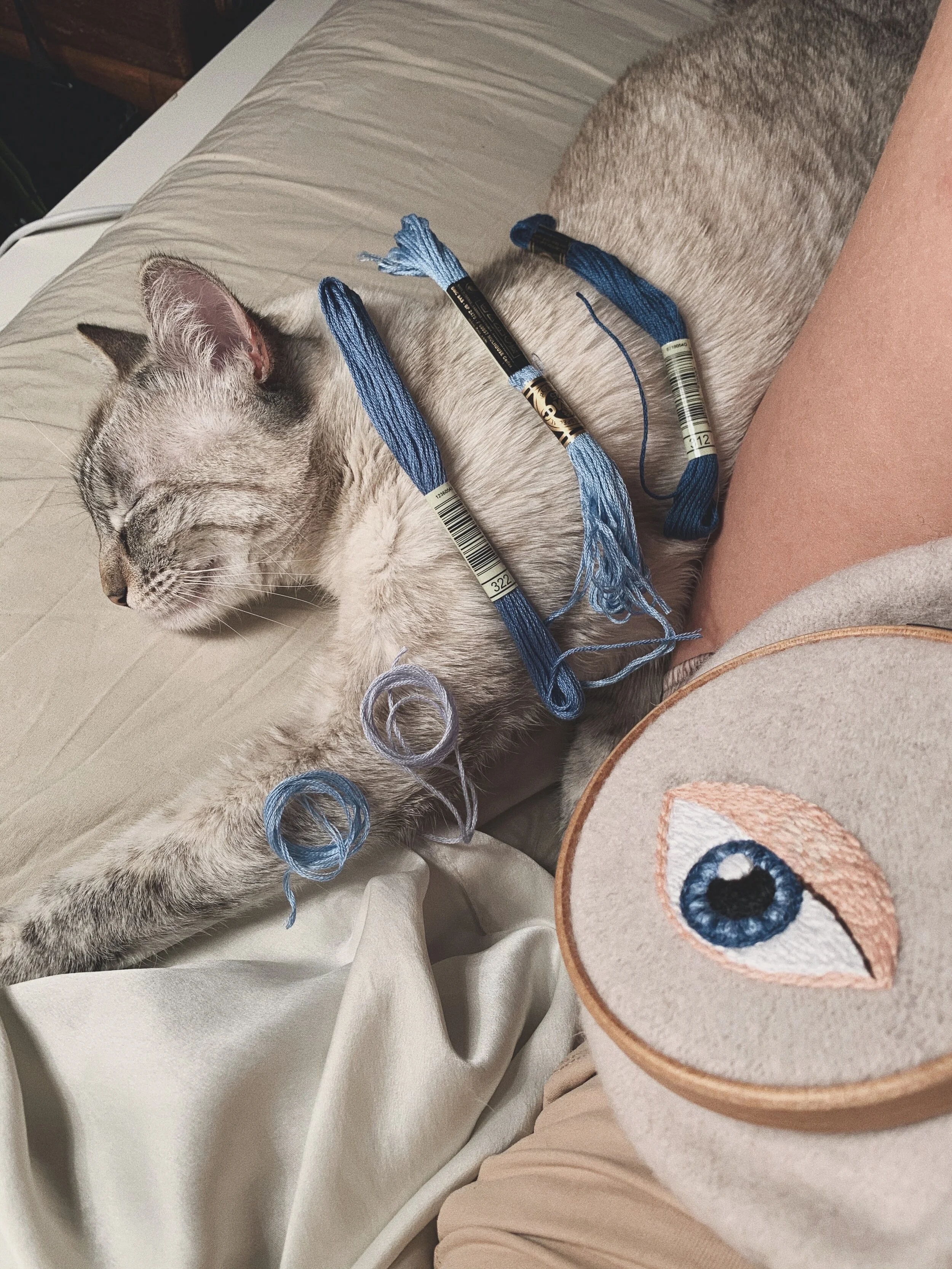 Facetune_01-12-2019-03-15-58.JPG