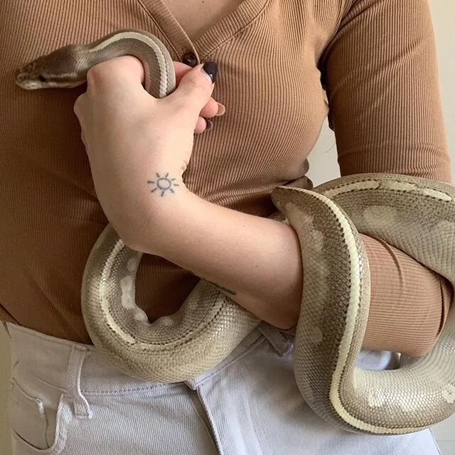 Hello from us to you 🐍🤍