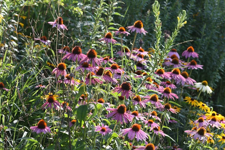 Do you require SSAT results?