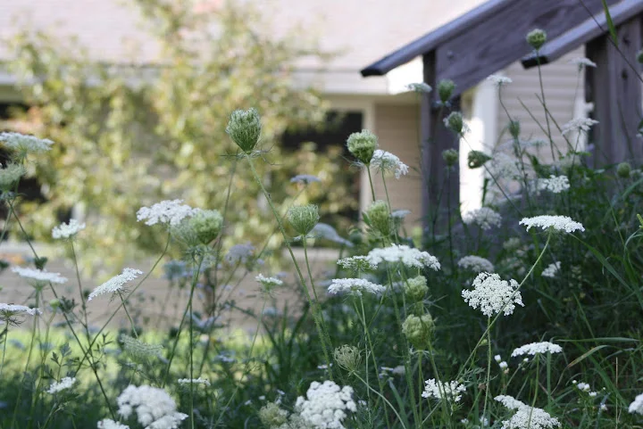 Where do BHS students go for high school?