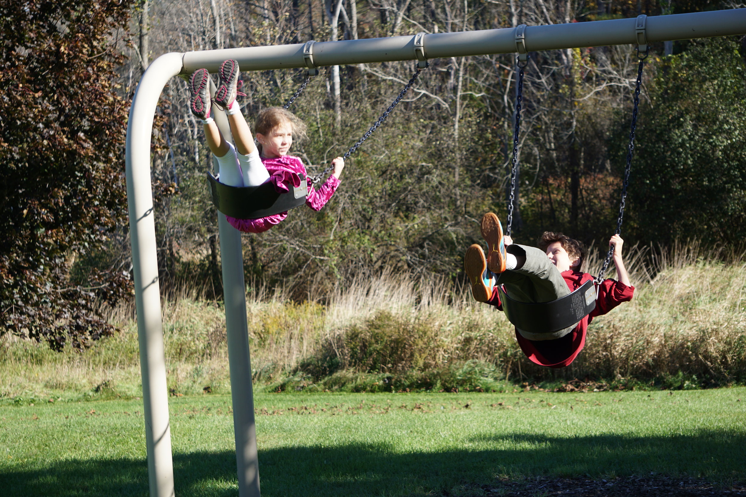 The Beech Hill School